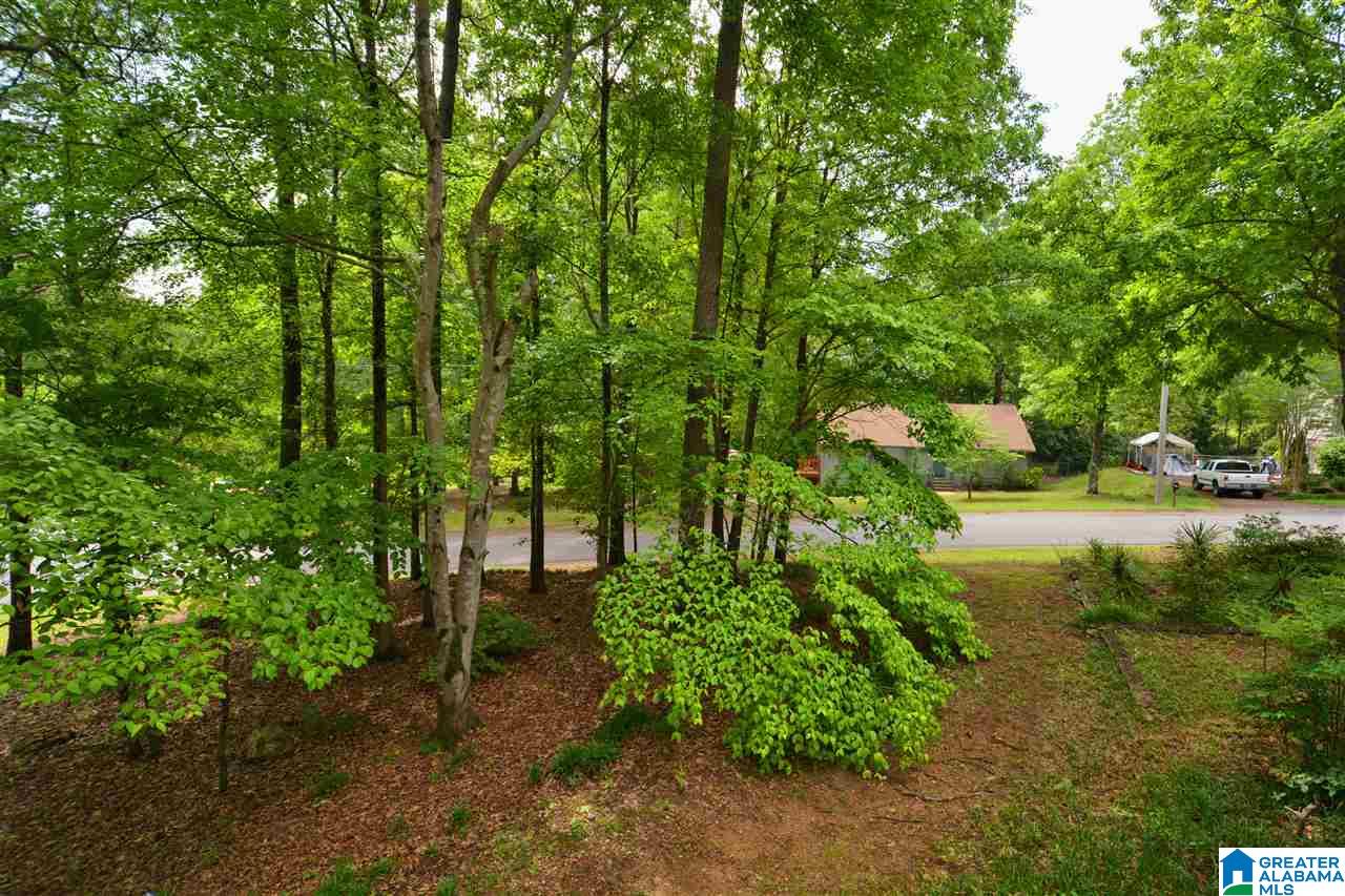 4512 Oxford Road Birmingham, AL 35242 - Photo 47 of 49