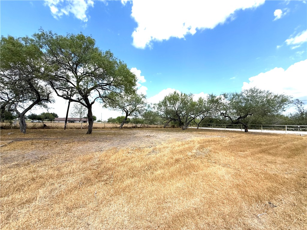 147 County Road 153 Alice, TX 78332 - Photo 3 of 23 a view of outdoor space with trees