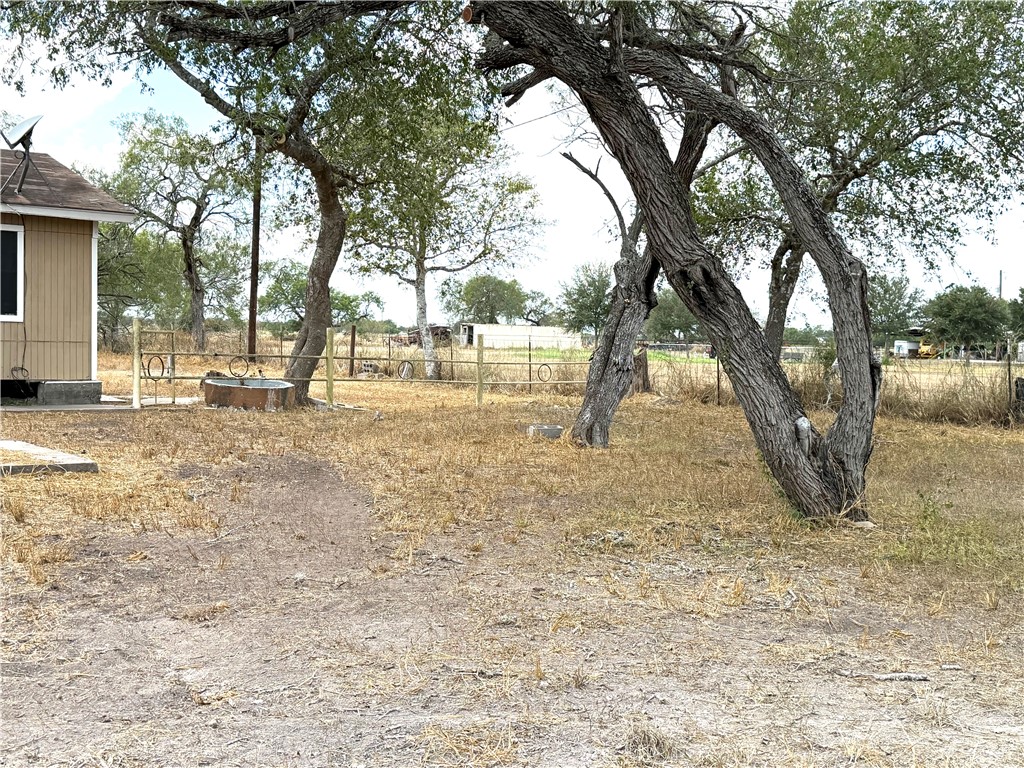 147 County Road 153 Alice, TX 78332 - Photo 6 of 23 a view of a yard with a tree