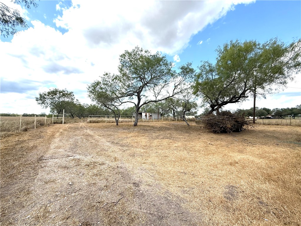 147 County Road 153 Alice, TX 78332 - Photo 7 of 23 a backyard of a house with lots of green space