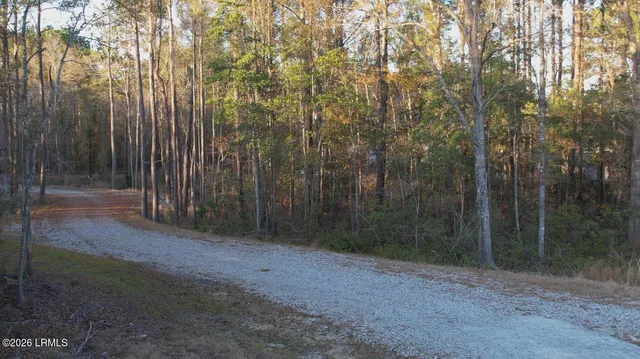 $99,900 | 518 Evangelist Drive, Early Branch, SC 29916