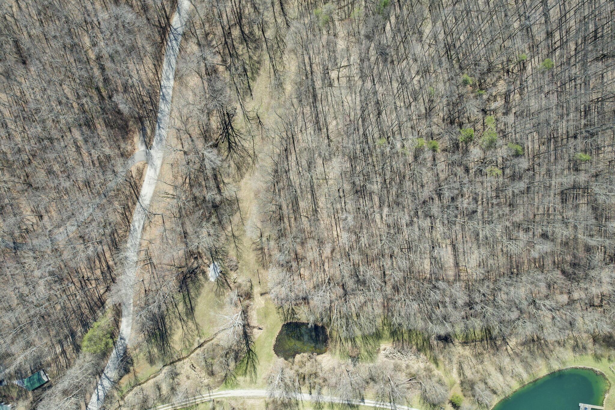 0 Hansley Road Southeast Sugar Grove, OH 43155 - Photo 7 of 27 8-web-or-mls-DJI_0667