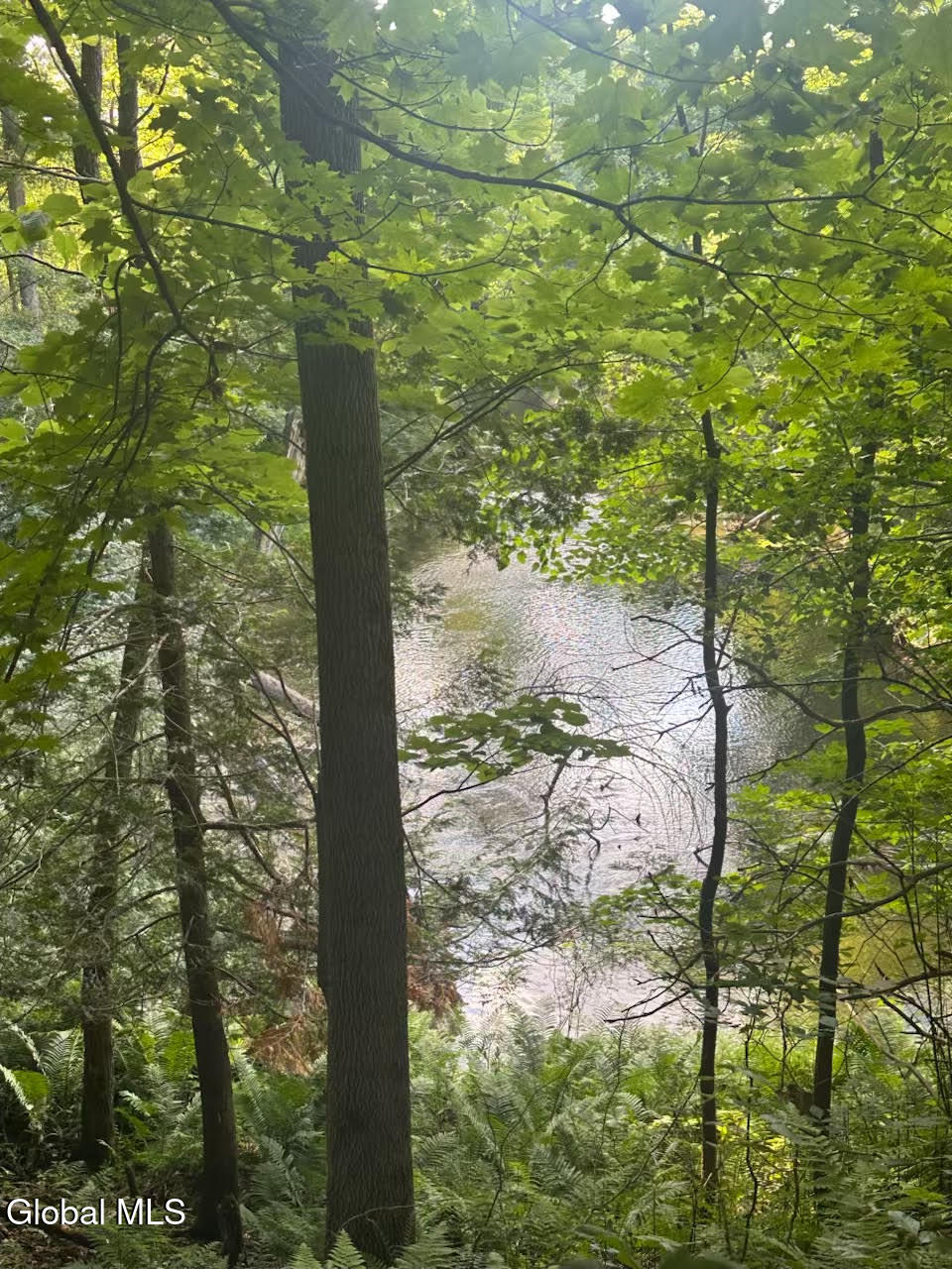 19 Porter Mill Road Crown Point, NY 12928 - Photo 7 of 27 unnamed (9)