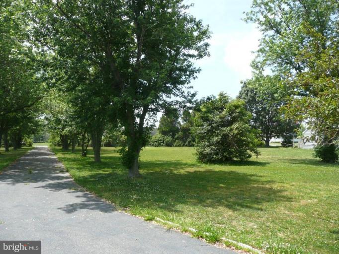 716 Twin Point Cove Road Cambridge, MD 21613 - Photo 23 of 23 Front and side yard