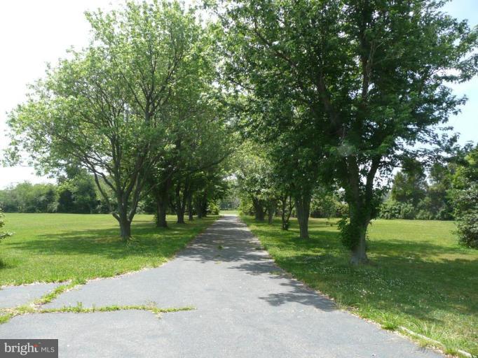716 Twin Point Cove Road Cambridge, MD 21613 - Photo 7 of 23 Driveway