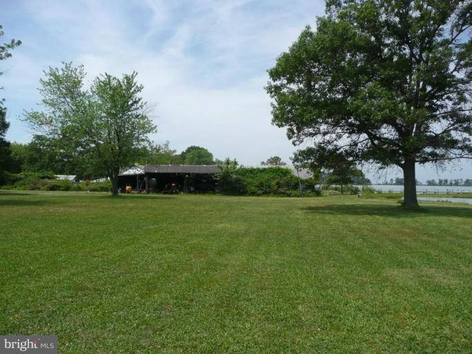 716 Twin Point Cove Road Cambridge, MD 21613 - Photo 8 of 23 Back yard