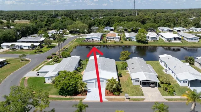 a view of a park with large trees