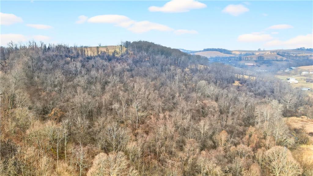 275 Newman Road Taylorstown, PA 15365 - Photo 16 of 50 a view of a dry yard