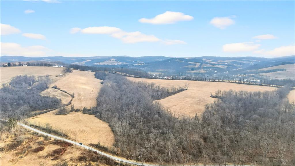 275 Newman Road Taylorstown, PA 15365 - Photo 26 of 50 a view of yard