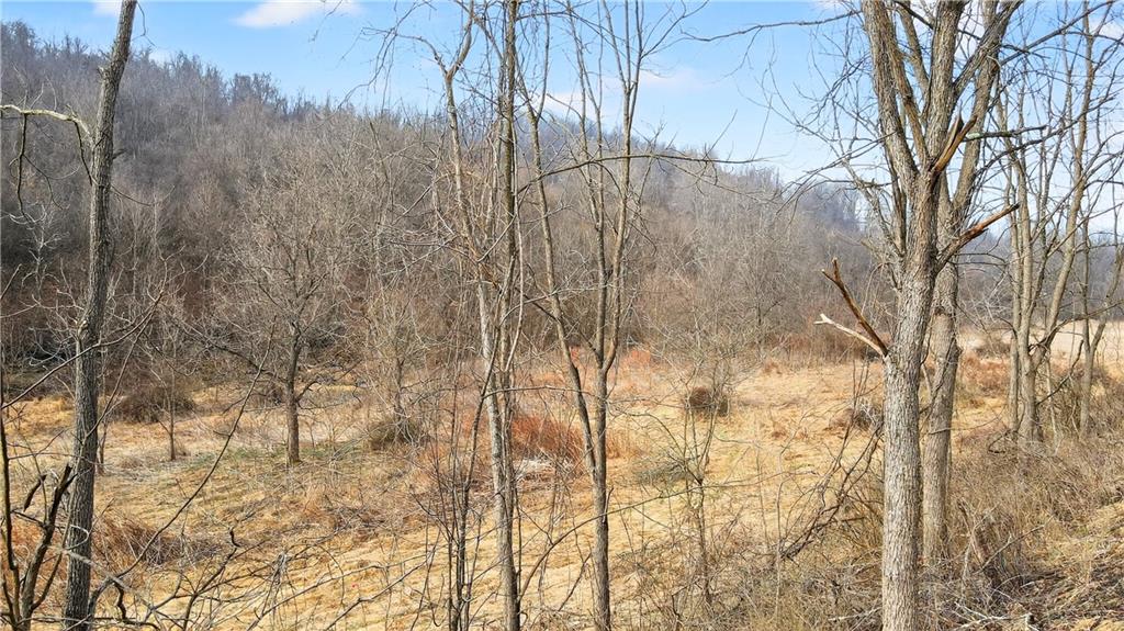 275 Newman Road Taylorstown, PA 15365 - Photo 3 of 50 a backyard of a house