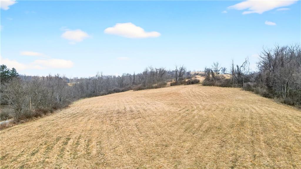 275 Newman Road Taylorstown, PA 15365 - Photo 42 of 50 a view of big yard