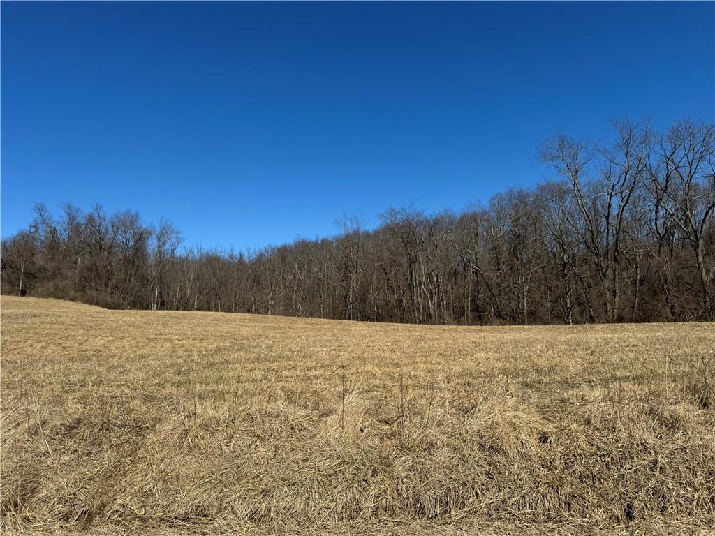 275 Newman Road Taylorstown, PA 15365 - Photo 44 of 50 a view of an outdoor space and a yard