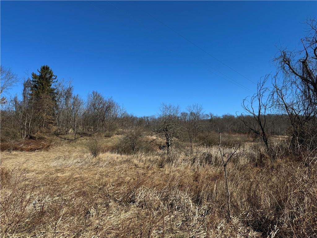 275 Newman Road Taylorstown, PA 15365 - Photo 46 of 50 a view of a dry yard with trees