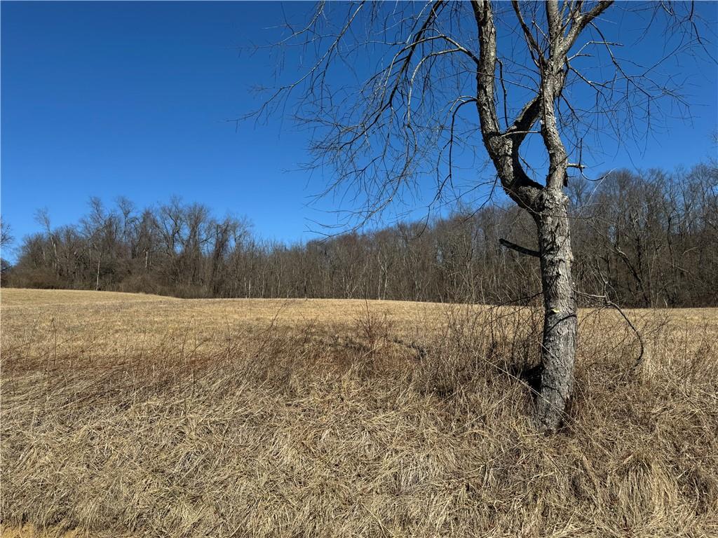 275 Newman Road Taylorstown, PA 15365 - Photo 48 of 50 a view of a yard