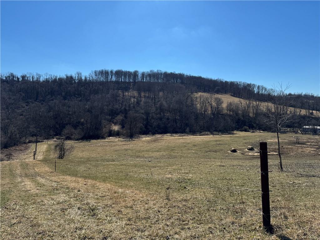 275 Newman Road Taylorstown, PA 15365 - Photo 50 of 50 a view of a backyard