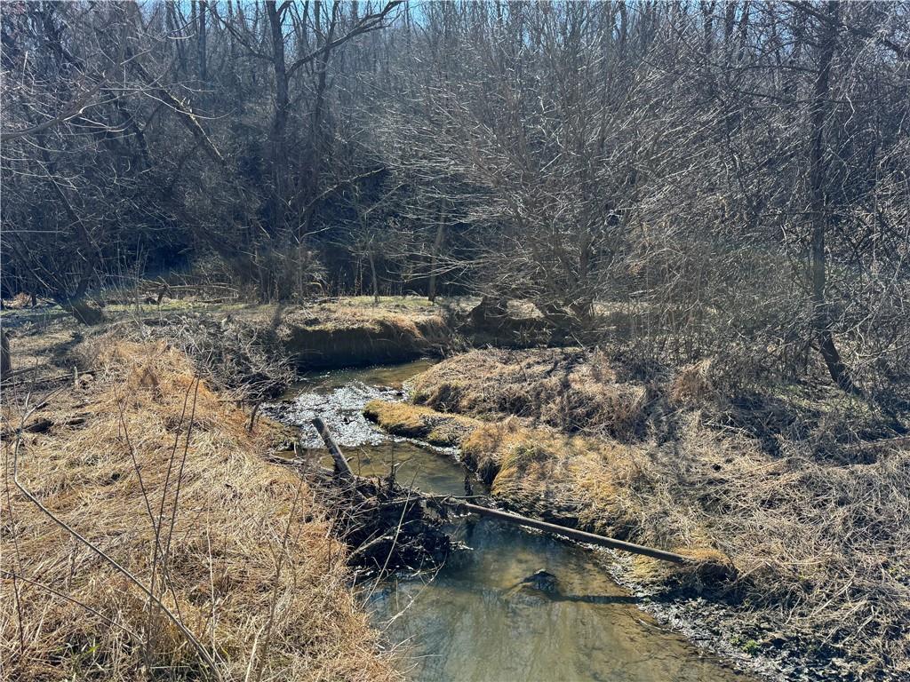 275 Newman Road Taylorstown, PA 15365 - Photo 5 of 50 a view of a backyard of the house