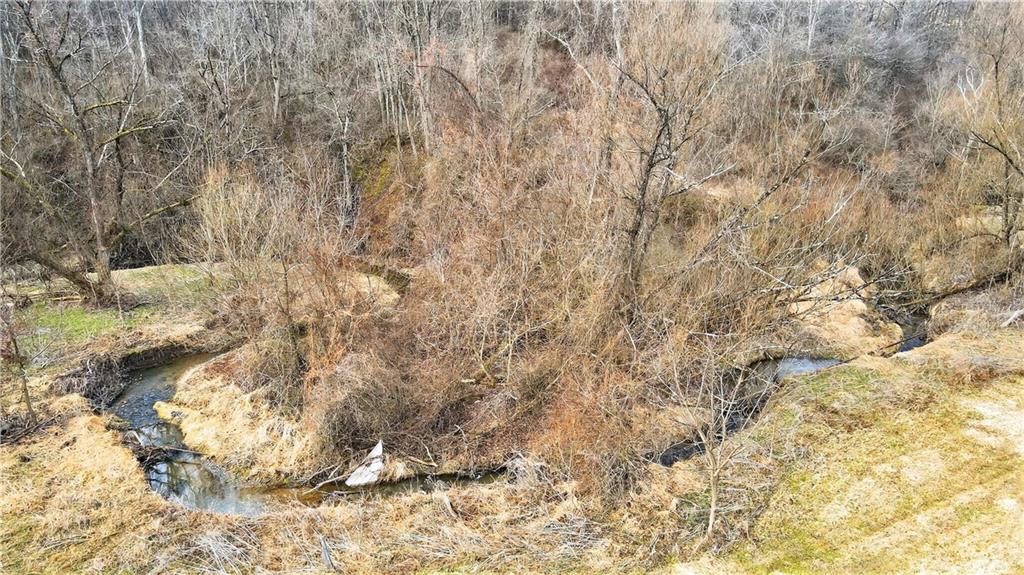 275 Newman Road Taylorstown, PA 15365 - Photo 10 of 50 a view of a yard