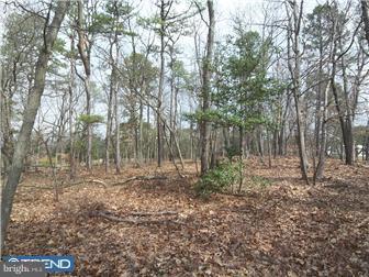 366 Alloway Friesburg Road Alloway, NJ 08302 - Photo 11 of 12 Gallery Image 11