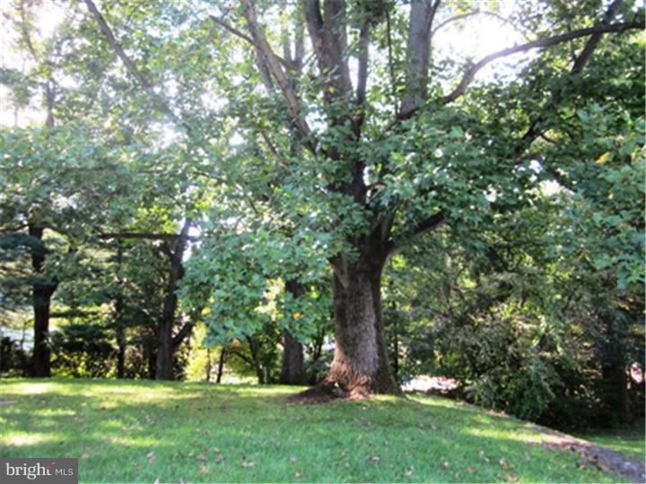 1911 Cobden Road Glenside, PA 19038 - Photo 23 of 24 View in Back