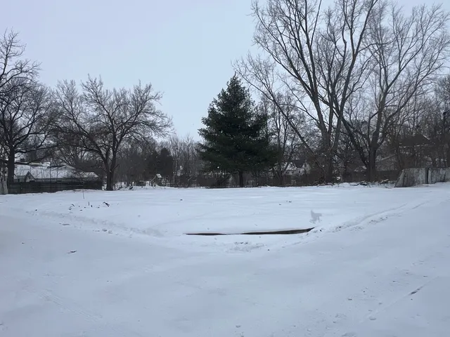 $4,900 | 229 East Vine Street, Piper City, IL 60959