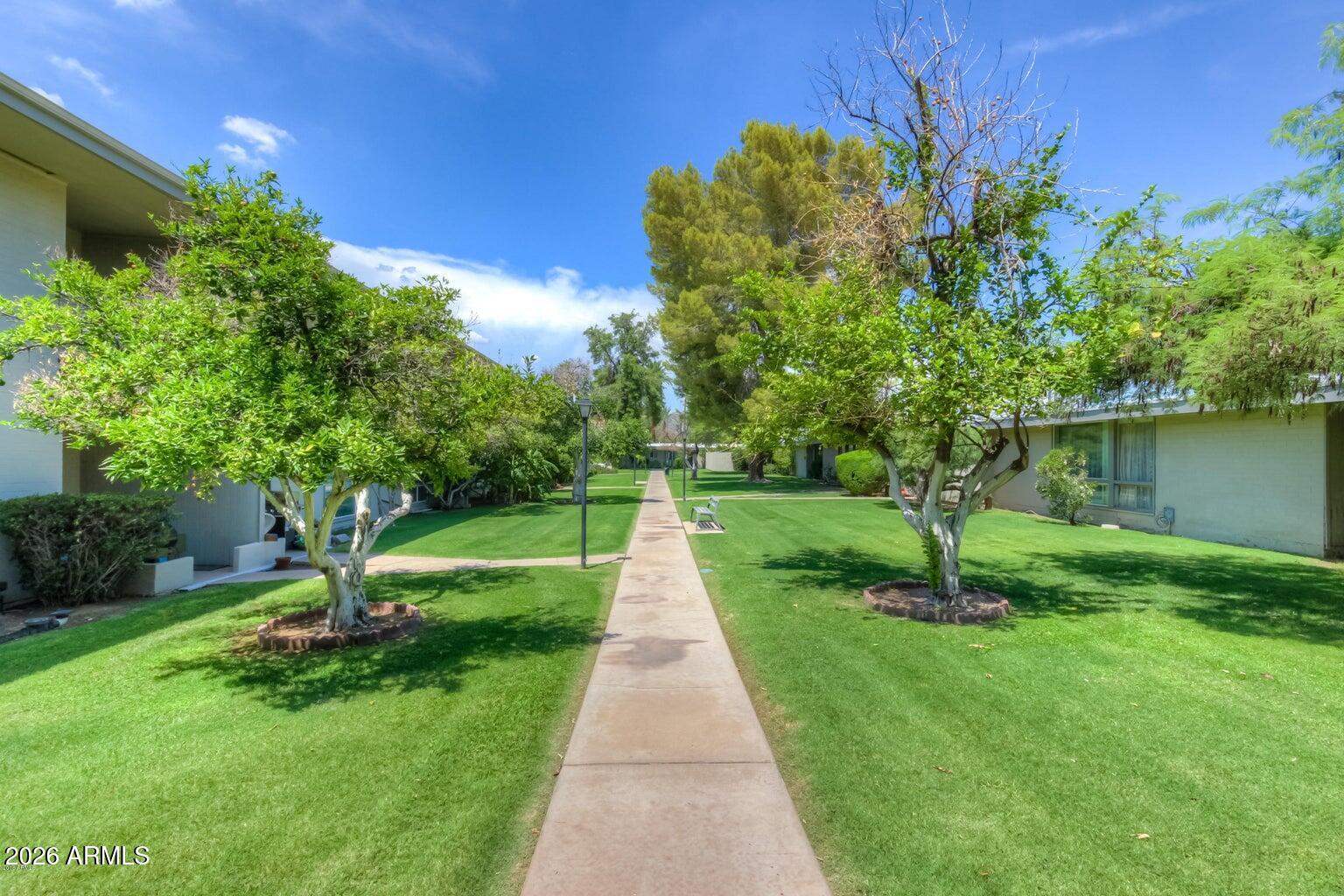 3242 East Camelback Road, Unit 207 Phoenix, AZ 85018 - Photo 22 of 25 Martinique