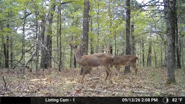 $199,400 | 164 St Peel Ar 72668, Peel, AR 72668