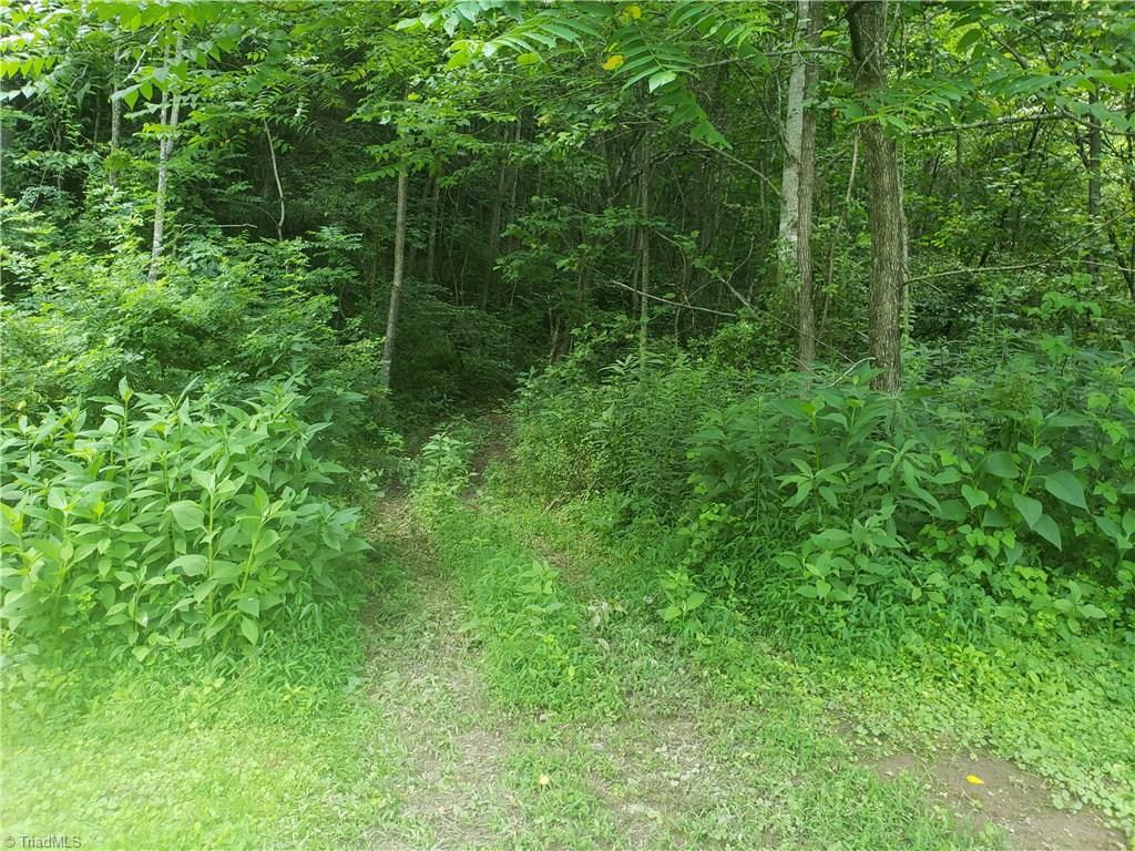422 Eagle Hills Road Purlear, NC 28665 - Photo 24 of 29 Gallery Image 24