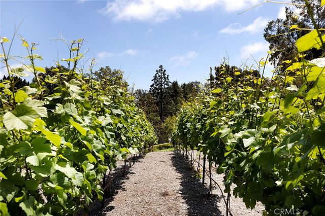 a view of a bunch of flowers