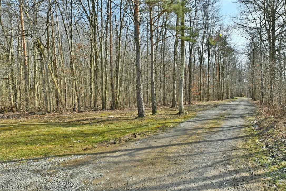 6570 Spencer Clark Road Fowler, OH 44418 - Photo 2 of 49 View from road