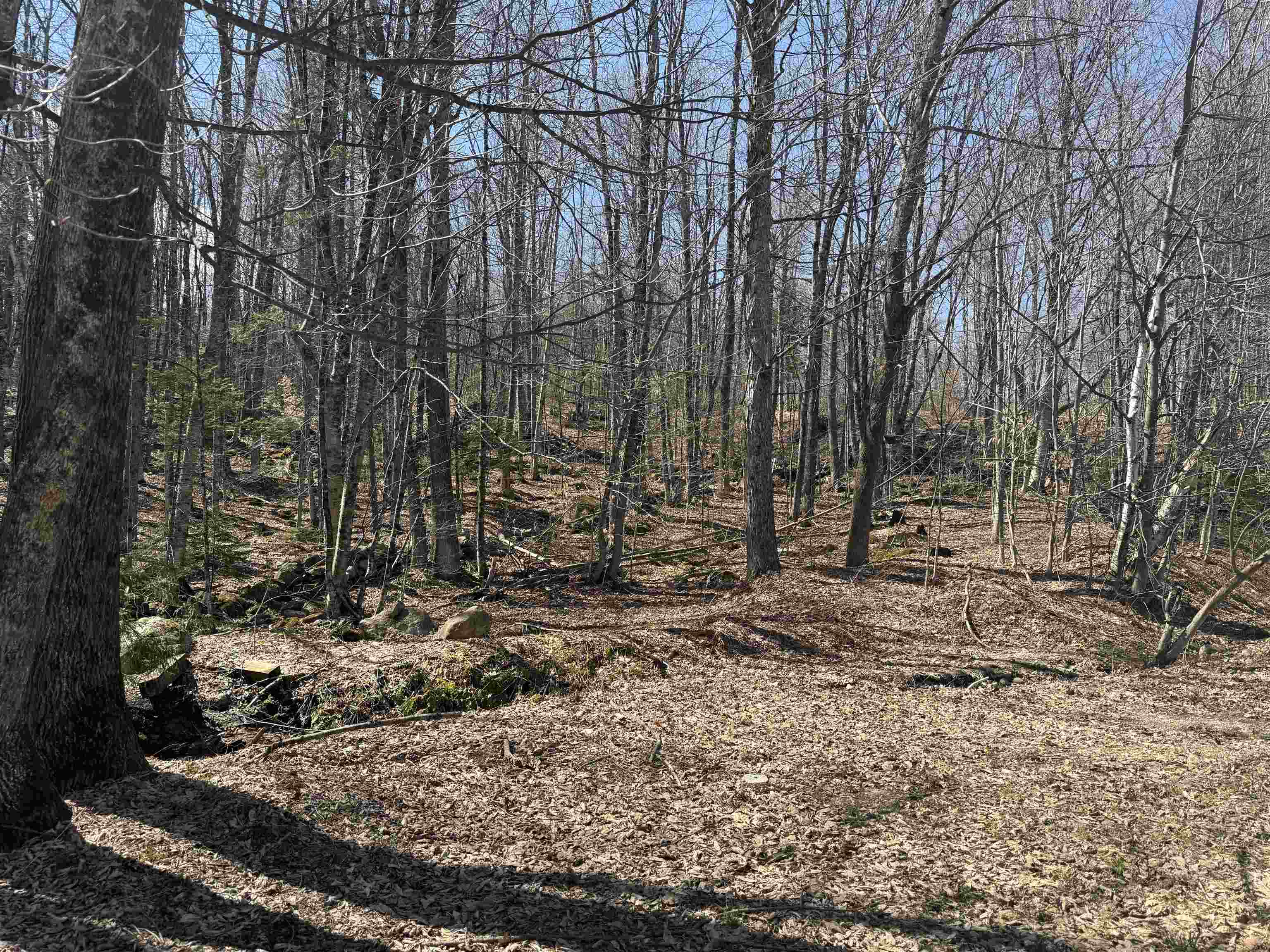 501 Gates Road Andover, VT 05143 - Photo 23 of 27