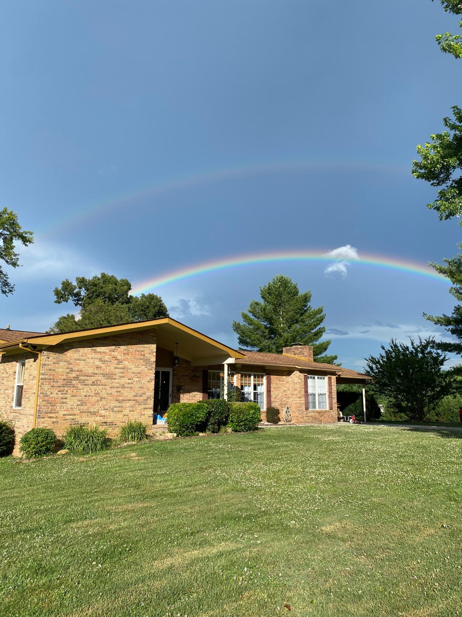165 Pops Road Jacksboro, TN 37757 - Photo 5 of 31 IMG_6551