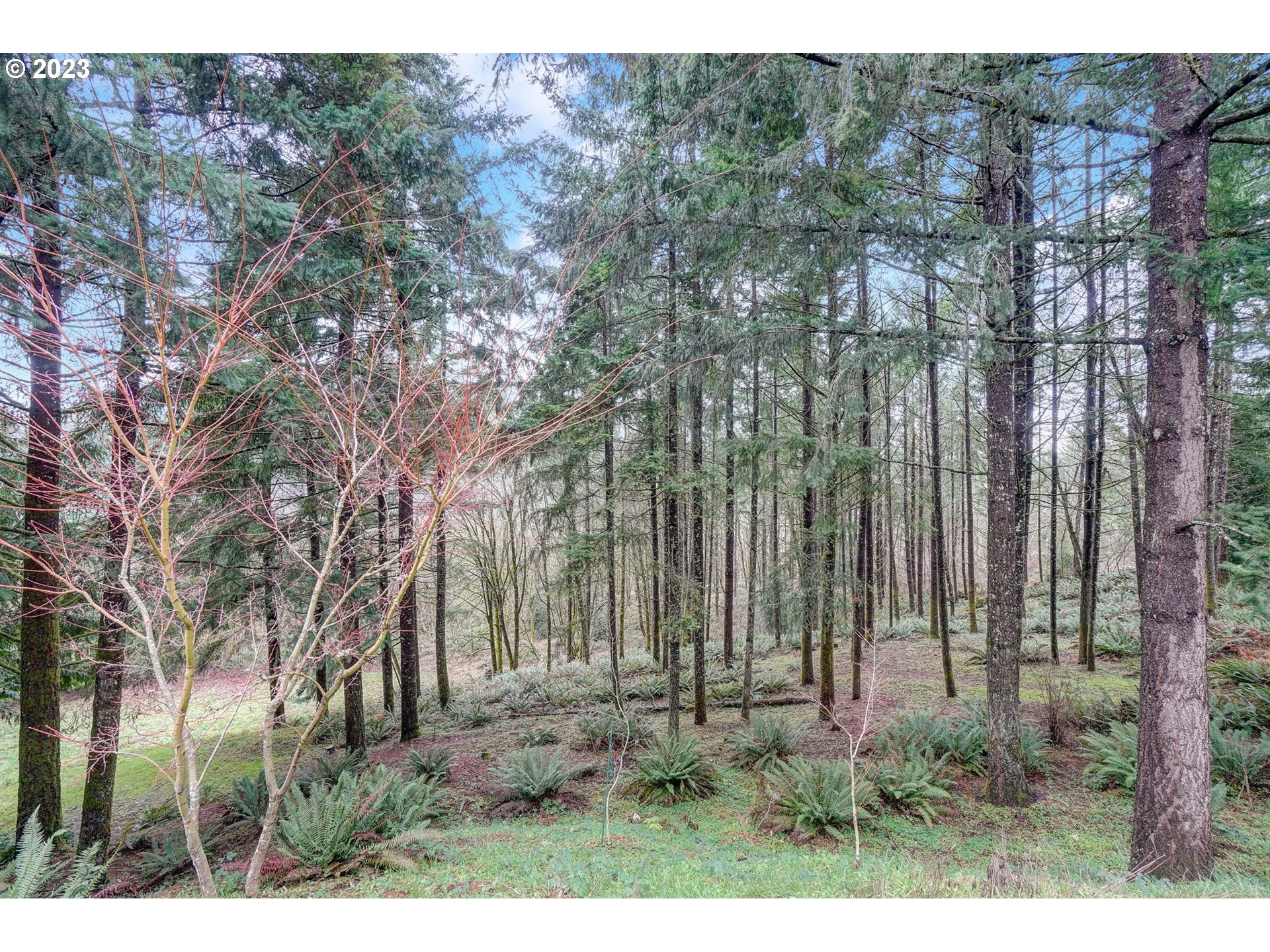 17235 South Outlook Road Oregon City, OR 97045 - Photo 41 of 48 Gallery Image 41
