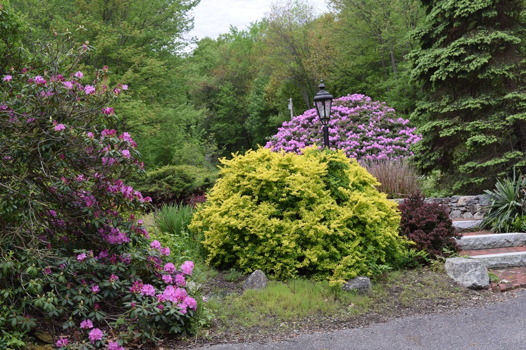 37 East Bare Hill Road Harvard, MA 01451 - Photo 29 of 29 Gallery Image 29