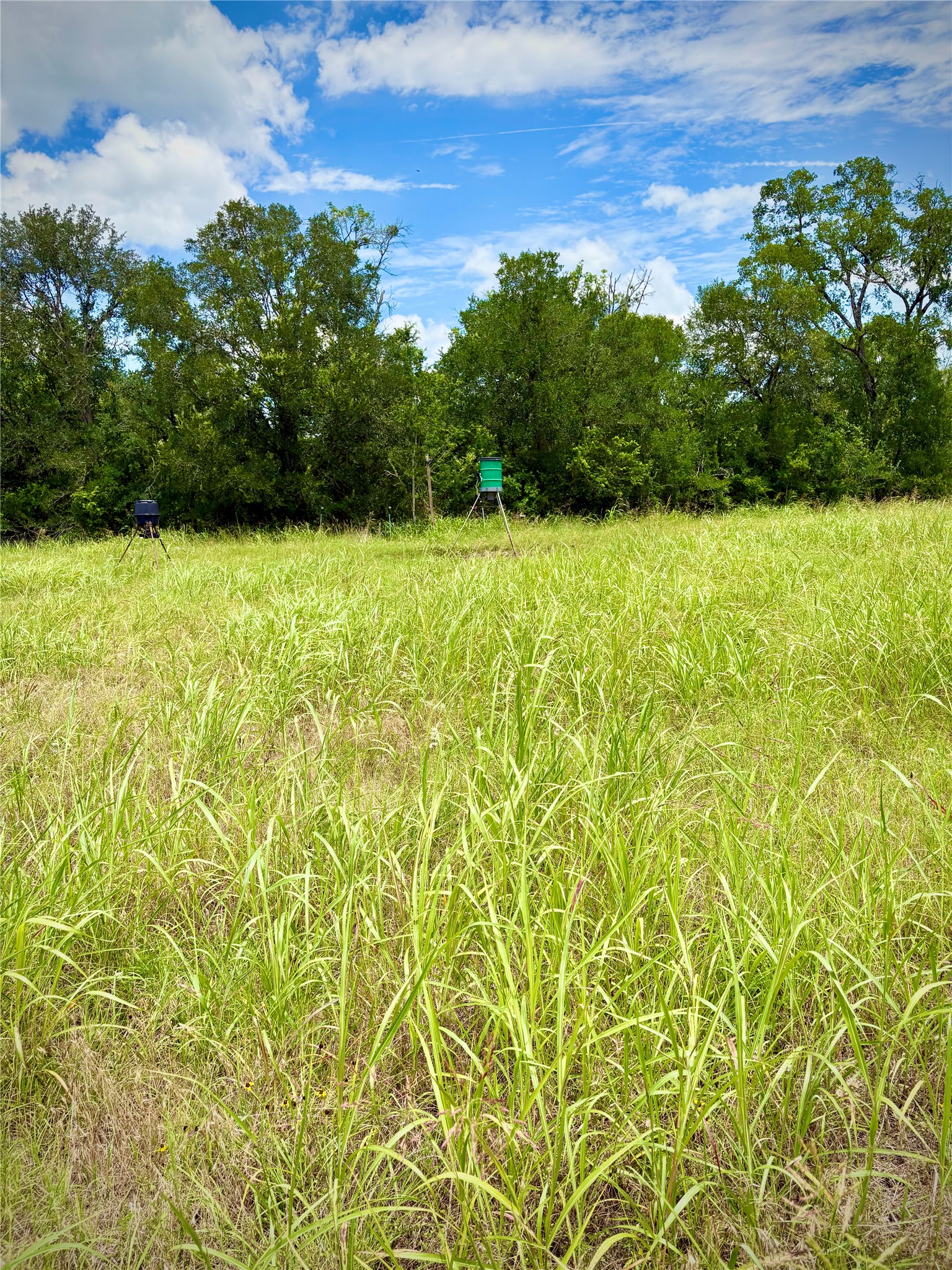 0 Korthauer Road Bellville, TX 77418 - Photo 5 of 13