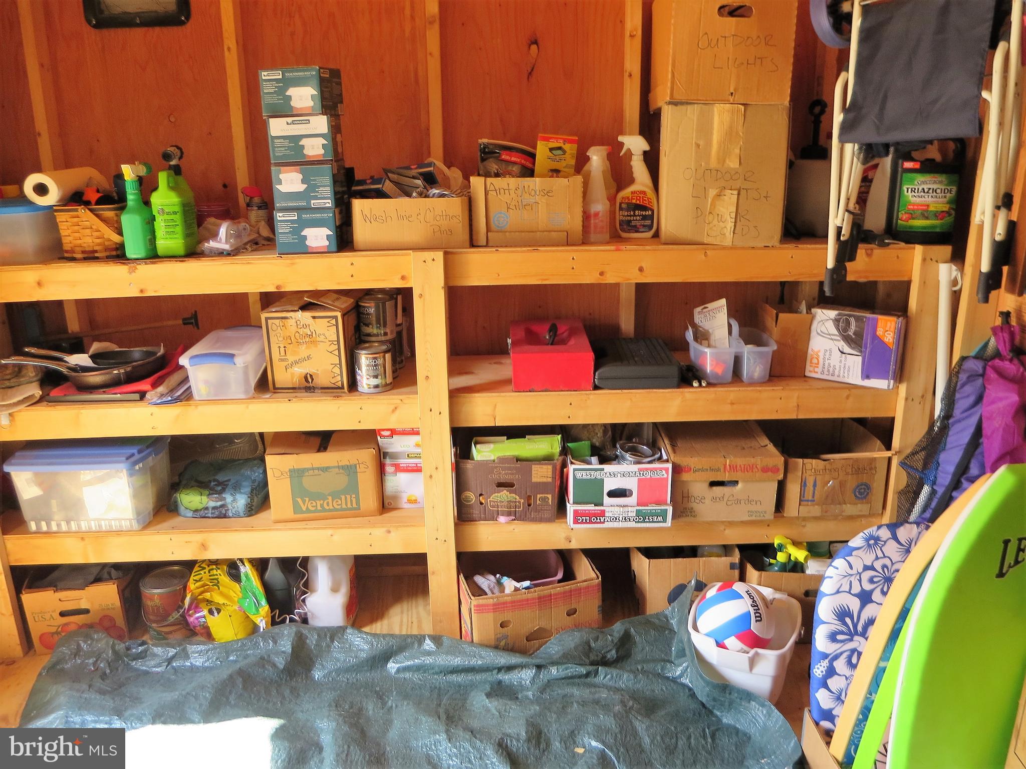 29521 Maple Road, Unit 54982 Lewes, DE 19958 - Photo 34 of 38 Inside Shed
