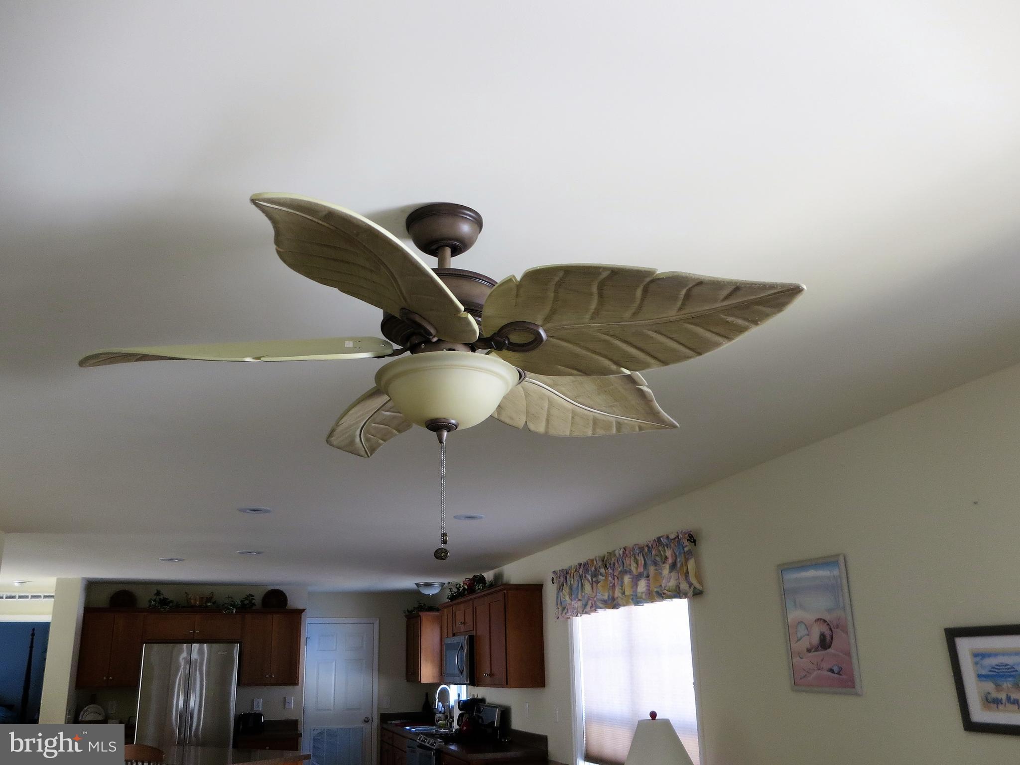 29521 Maple Road, Unit 54982 Lewes, DE 19958 - Photo 8 of 38 Ceiling Fan