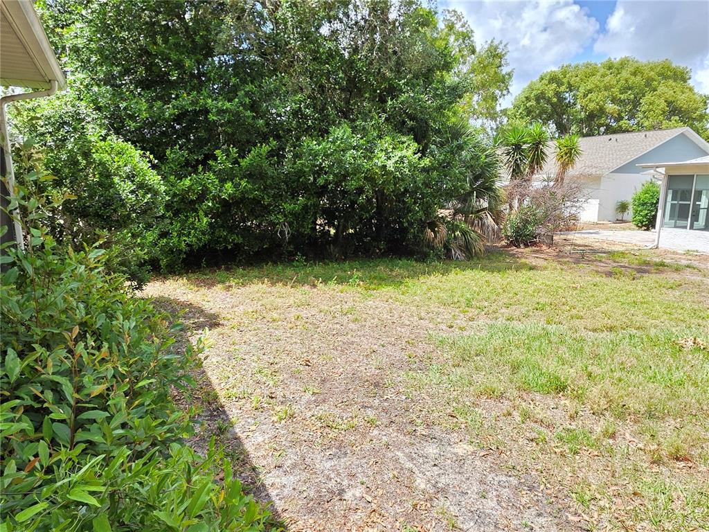 6264 Darien Way Spring Hill, FL 34606 - Photo 19 of 23