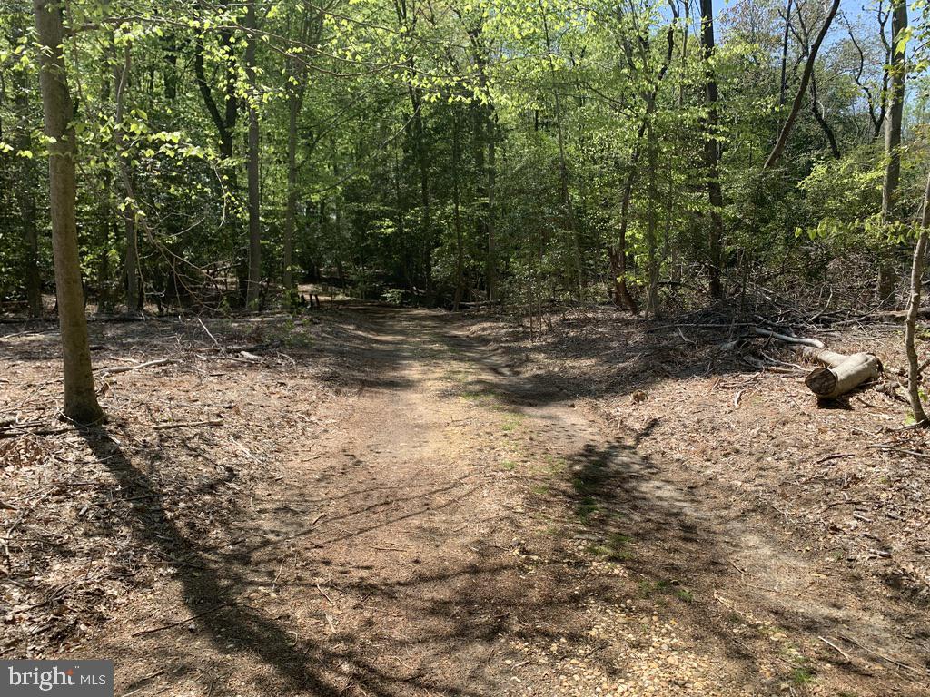 6889 Harmony Road Preston, MD 21655 - Photo 11 of 14
