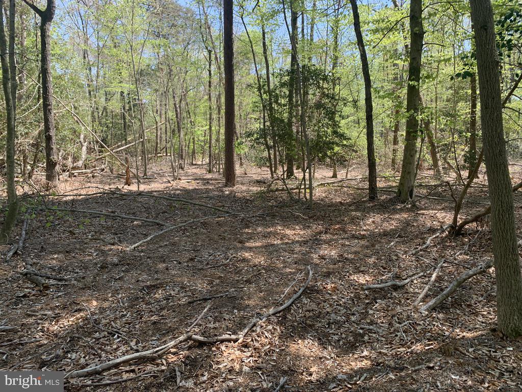 6889 Harmony Road Preston, MD 21655 - Photo 10 of 14