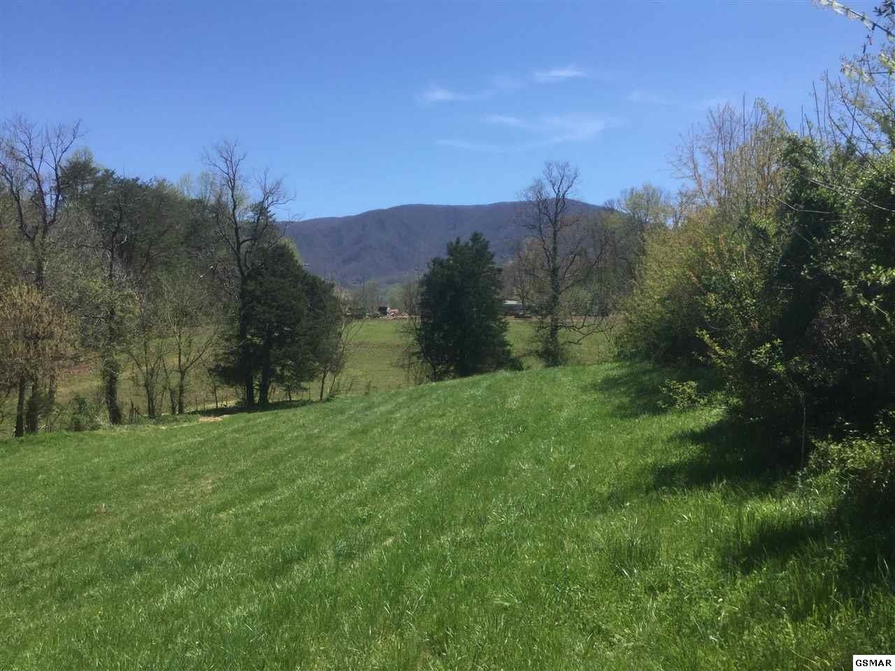 22 Hatcher Mountain Road Sevierville, TN 37862 - Photo 5 of 20 Gallery Image 5