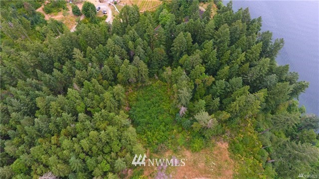 0 Villa Beach Road Anderson Island, WA 98303 - Photo 3 of 25 Gallery Image 3