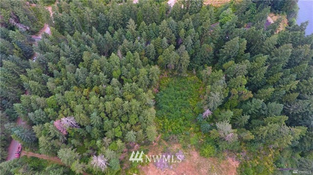 0 Villa Beach Road Anderson Island, WA 98303 - Photo 4 of 25 Gallery Image 4