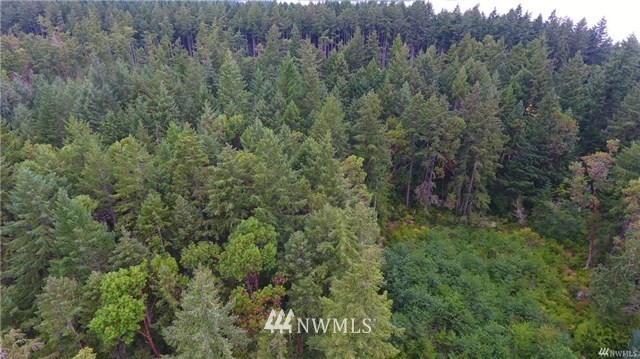 0 Villa Beach Road Anderson Island, WA 98303 - Photo 5 of 25 Gallery Image 5