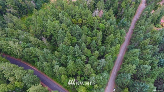 0 Villa Beach Road Anderson Island, WA 98303 - Photo 7 of 25 Gallery Image 7