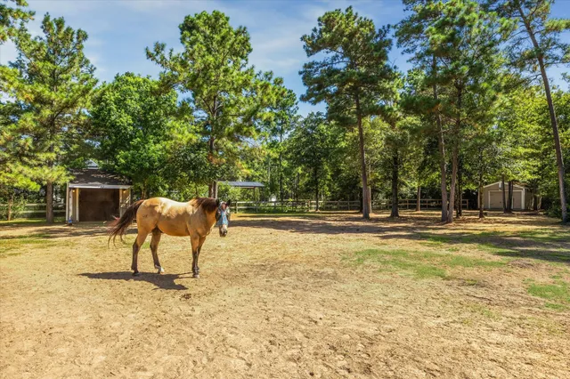 a view of a house with backyard and trees