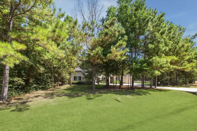 a view of yard with tree and green space
