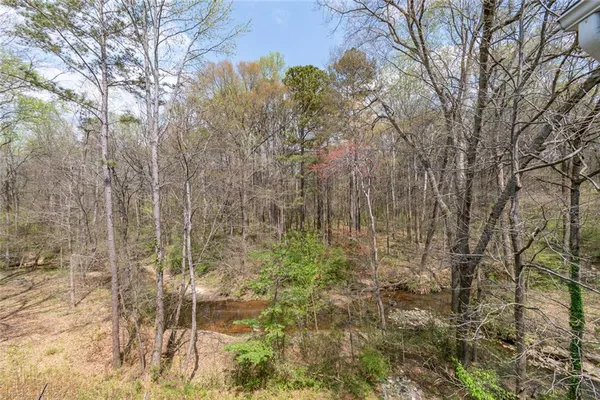 a close up of a plant in a yard