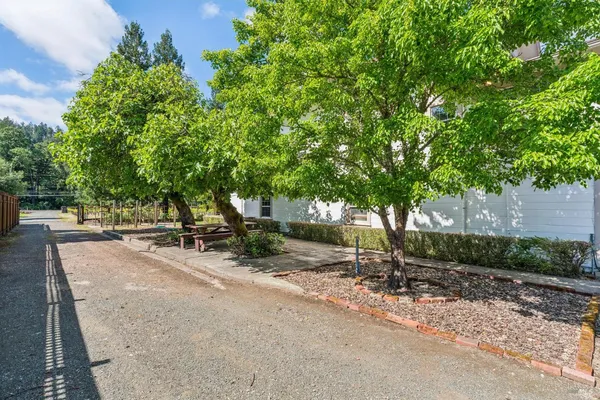 a street view with large trees and buildings in the background