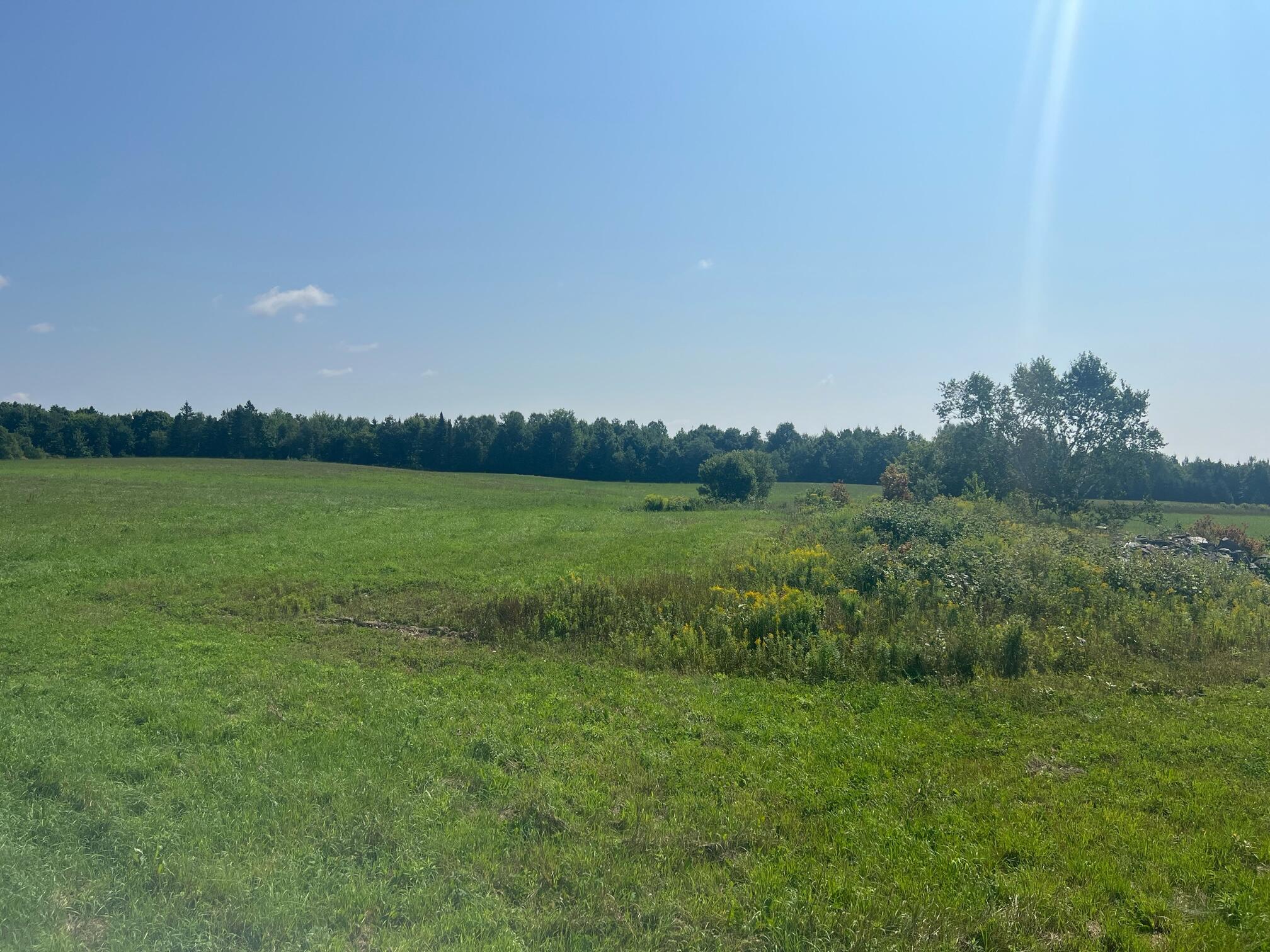 175 Rebel Hill Road Merrill, ME 04780 - Photo 10 of 18 image6 (3)