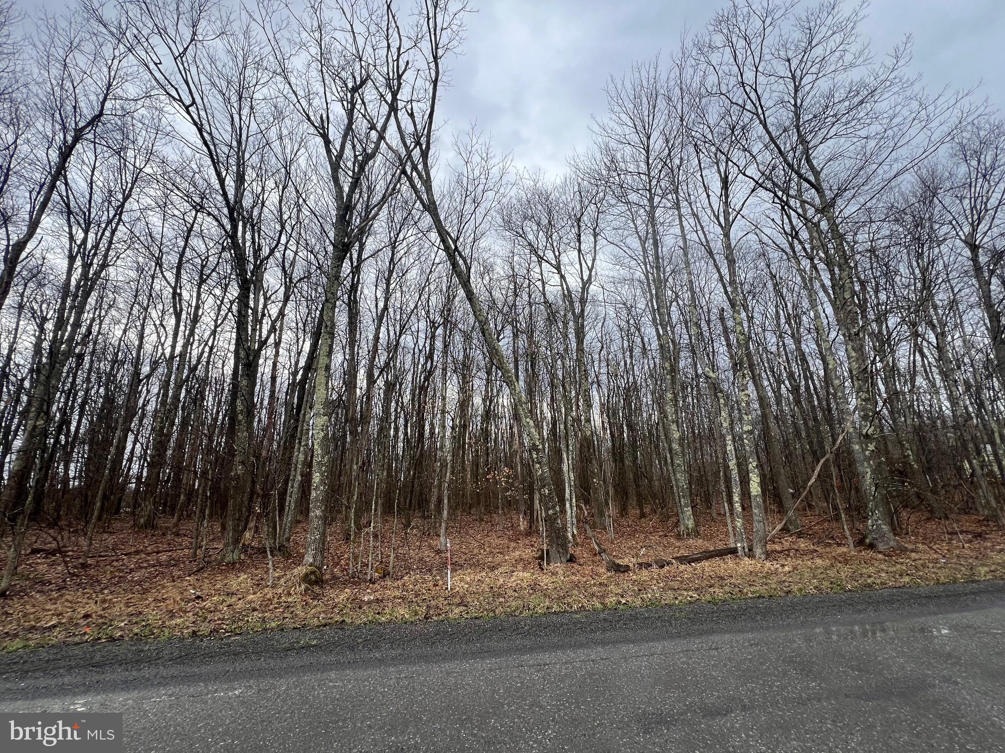 Bethlehem Road Oakland, MD 21550 - Photo 4 of 5 Lot A (8.73 acres) right off Bethlehem Rd